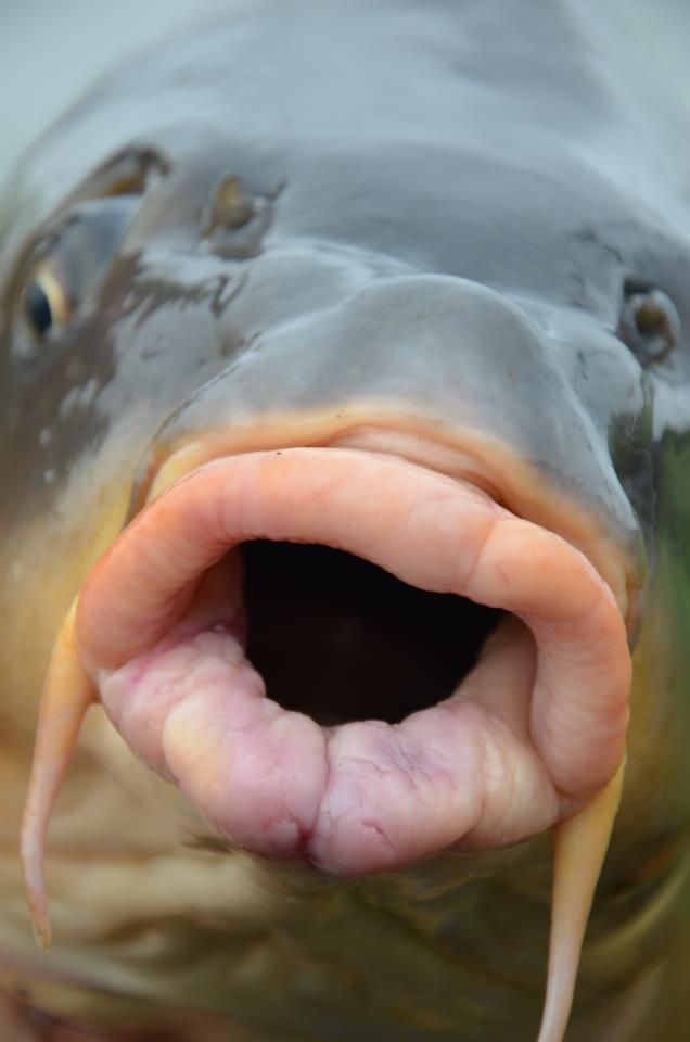 Fotografii de profil - av-6.jpg